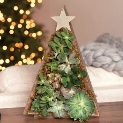 Mixed Succulent Holiday Tree