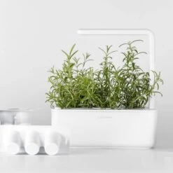 Click & Grow Smart Garden 3 -Gardening Series Store 28788 4