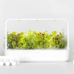 Click & Grow Smart Garden 9 -Gardening Series Store 28789 4