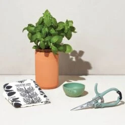 Modern Sprout Growing Gourmet Indoor Herb Garden