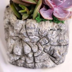 Concrete Log Succulent Garden -Gardening Series Store 29380 2