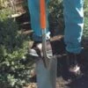 A.M. Leonard Nursery And Landscape Spade 2 A.M. Leonard Nursery And Landscape Spade -Gardening Series Store 31SY766E59L