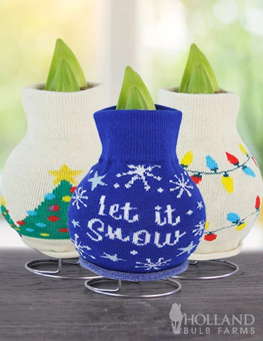 Menu Deck The Halls Sweater Amaryllis Collection 4 Menu Deck The Halls Sweater Amaryllis Collection - Image 2