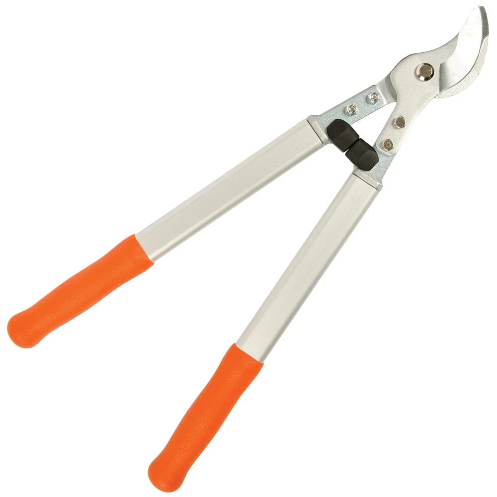 Leonard Professional Lifetime Loppers, 1.5 Inch Cutting Capacity 3 Leonard Professional Lifetime Loppers, 1.5 Inch Cutting Capacity