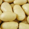Menu Mega Chip White Seed Potatoes (Kennebec) -Gardening Series Store 75100 mega chip white seed potatoes 1