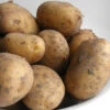 Menu Goldrush Russet Seed Potatoes -Gardening Series Store 75105 goldrush russet seed potatoes