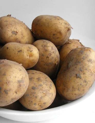 Menu Goldrush Russet Seed Potatoes 3 Menu Goldrush Russet Seed Potatoes