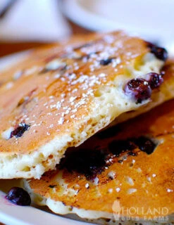 Menu Jersey Blueberry Plant -Gardening Series Store 75120 jersey blueberry plant 2