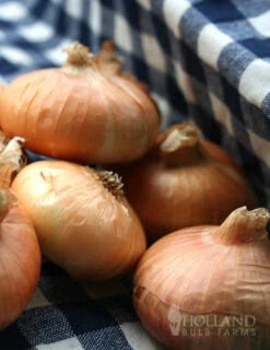 Menu Large Vegetable Garden Collection -Gardening Series Store 75133 large vegetable garden 6