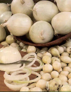 Menu Large Vegetable Garden Collection -Gardening Series Store 75133 large vegetable garden 7