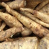 Menu Big Top Horseradish Root -Gardening Series Store 75158 2