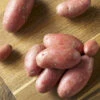 Menu Red Thumb Fingerling Potato -Gardening Series Store 75163 red thumb potatoes