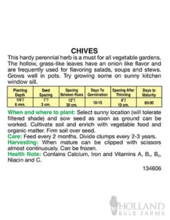 Menu Container/Small Space Vegetable Garden -Gardening Series Store 75506 chives back