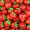 Menu Delicious Sparkle Strawberries 1 Menu Delicious Sparkle Strawberries -Gardening Series Store 75732 strawberries