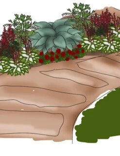 Menu Border Of Blooms For Shade Collection -Gardening Series Store 77392 border of blooms shade collection 3