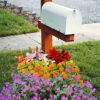 Menu Sunny Perennial Mailbox Garden