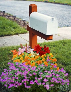 Menu Sunny Perennial Mailbox Garden