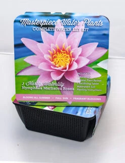 Menu Pink Water Lily -Gardening Series Store 78102 pink water lily 2