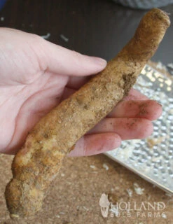 Menu Glory Lily -Gardening Series Store 78121 glory lily 3