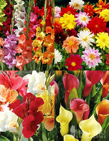 Menu Ultimate Garden Collection 3 Menu Ultimate Garden Collection