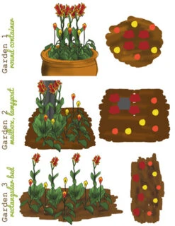 Menu Bridget's Sultry Sun Plant Trio -Gardening Series Store 79148 bridgets sultry sun plant trio