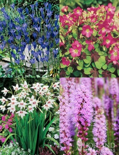 Menu All Seasons Garden