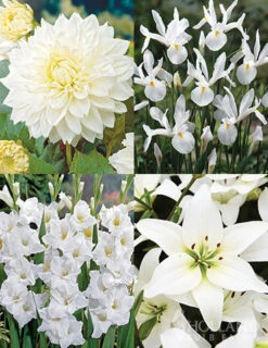 Menu Magic Moon Garden