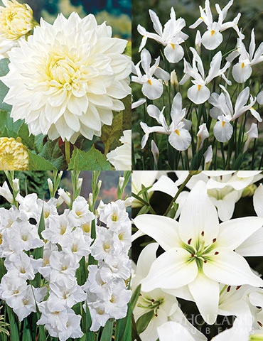 Menu Magic Moon Garden 3 Menu Magic Moon Garden