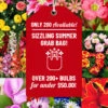 Menu Sizzling Summer Flower Grab Bag -Gardening Series Store 79246 sizzling summer grab bag