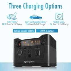 NinjaBatt Portable Power Station With 280Wh Lithium Battery, 110V/300W AC Outlets, QC3.0 USB, 12V/24V DC & LED Flashlight, Power Supply For Home Outdoor Camping Fishing Emergencies CPAP -Gardening Series Store 819DgccfU9L