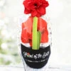 Menu Bingo Potted Amaryllis - Gift Ready -Gardening Series Store 92211 pre potted bingo 1