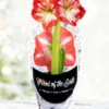 Menu Minerva Potted Amaryllis - Gift Ready -Gardening Series Store 92213 pre potted minerva 1