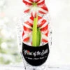 Menu Super Star Potted Amaryllis - Gift Ready -Gardening Series Store 92215 pre potted super star 1