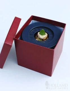 Menu Bi-Color Potted Amaryllis Gift Box - Burgundy Square -Gardening Series Store 92222 super star potted amaryllis burgundy square 2