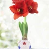 Menu Liberty Waxed Amaryllis -Gardening Series Store 92242 liberty waxed amaryllis 3