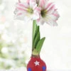 Menu Independence Day Waxed Amaryllis