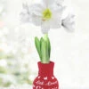 Menu Love Endures Sweater Amaryllis -Gardening Series Store 92446 let love grow