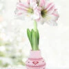 Menu Lovebud Sweater Amaryllis -Gardening Series Store 92447 hearts delight apple blossom
