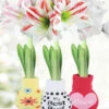 Menu Flower Love Forever Sweater Amaryllis Collection -Gardening Series Store 92451 flower love forever collection