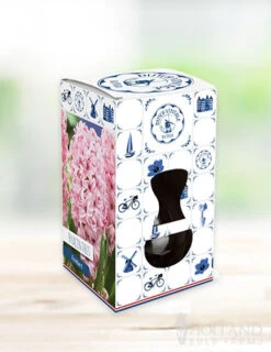 Menu Hyacinth Forcing Kit Collection 11 Menu Hyacinth Forcing Kit Collection -Gardening Series Store 93107 fondant hyacinth