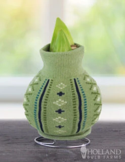 Menu Sage Advice Sweater Amaryllis 5 Menu Sage Advice Sweater Amaryllis -Gardening Series Store Cardigan 370 480 bulbs logo 2