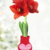 Menu Loving Heart Sweater Amaryllis