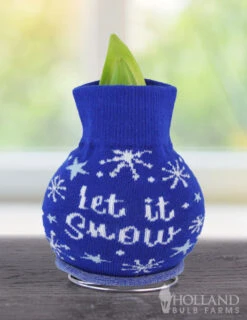 Menu Tis The Season Sweater Amaryllis Collection -Gardening Series Store Snow 370 480 bulbs logo