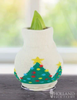 Menu Deck The Halls Sweater Amaryllis Collection 13 Menu Deck The Halls Sweater Amaryllis Collection -Gardening Series Store christmas tree 370 480 bulbs logo 1