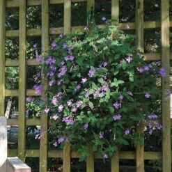 Growin' Bags 10 Hole -Gardening Series Store v1555 4