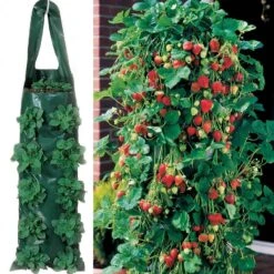 Growin' Bags 10 Hole -Gardening Series Store v1555 5
