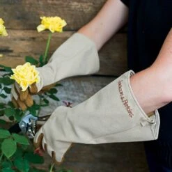 Jackson & Perkins Rose Gloves