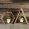 Hanging Spider Plant - Wood Frame -Gardening Series Store v2546
