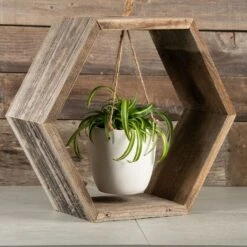 Hanging Spider Plant - Wood Frame -Gardening Series Store v2546 2