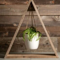 Hanging Spider Plant - Wood Frame -Gardening Series Store v2546 3